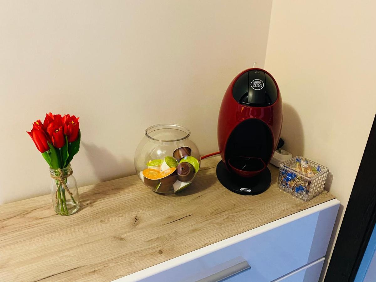 Sellada Apartament - Free Private Parking,Ac,Wi-Fi Carei Dış mekan fotoğraf